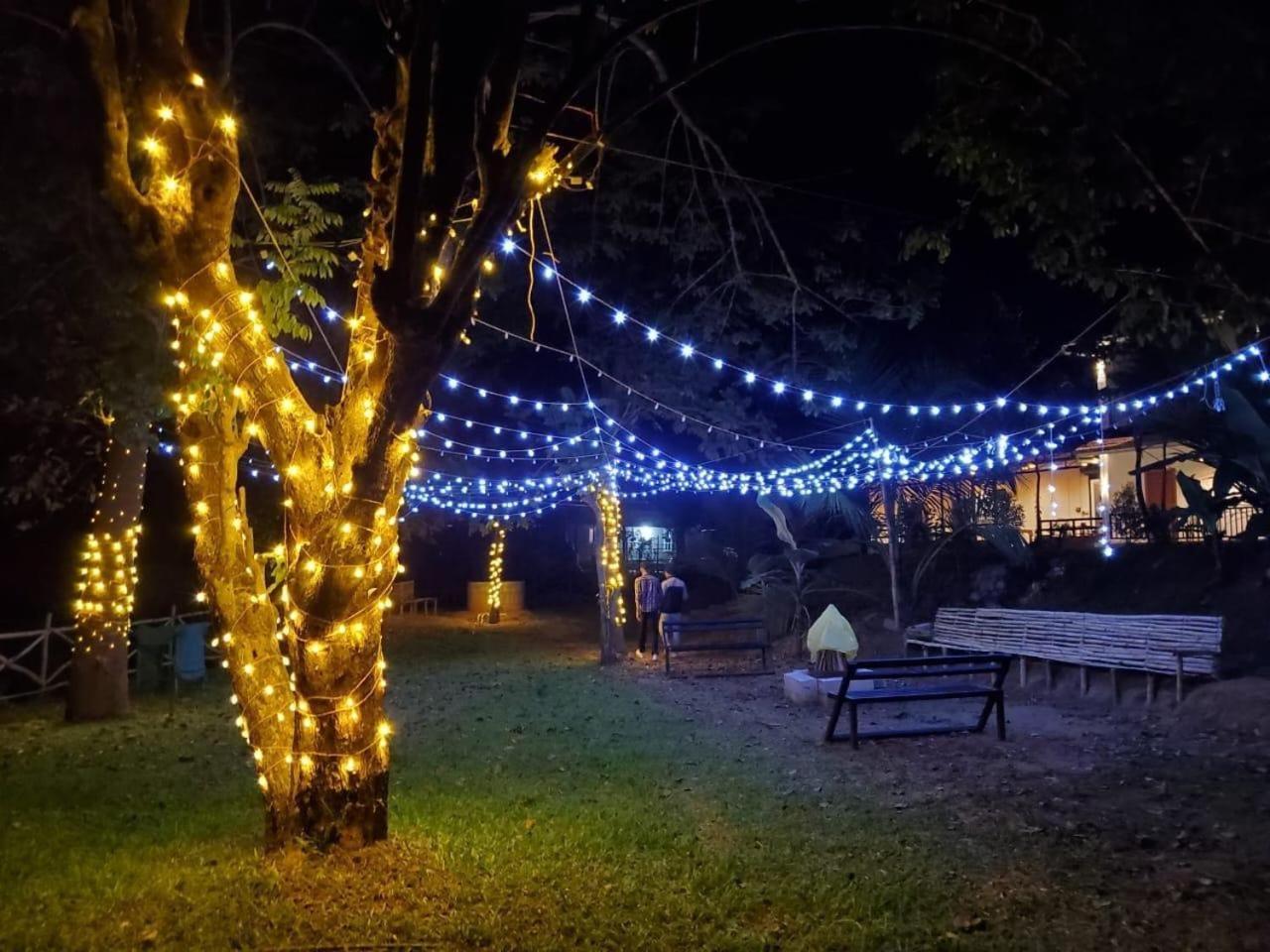 Casa Creek Aparthotel Vythiri Ngoại thất bức ảnh